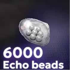 6000 Echo Beads